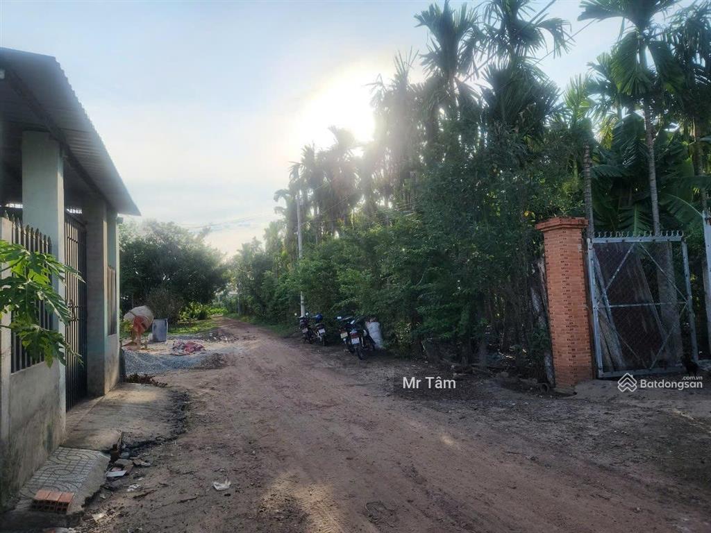 Ngộp hạ giá 1 tỷ! mt đường xe tải 1 sẹc ngắn đường an nhơn tây, dt 1600 m2, có 215m2 thổ cư