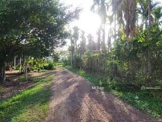 Ngộp hạ giá 1 tỷ ! mt đường xe tải 1 sẹc ngắn đường an nhơn tây, dt 1600 m2, có 215m thổ cư