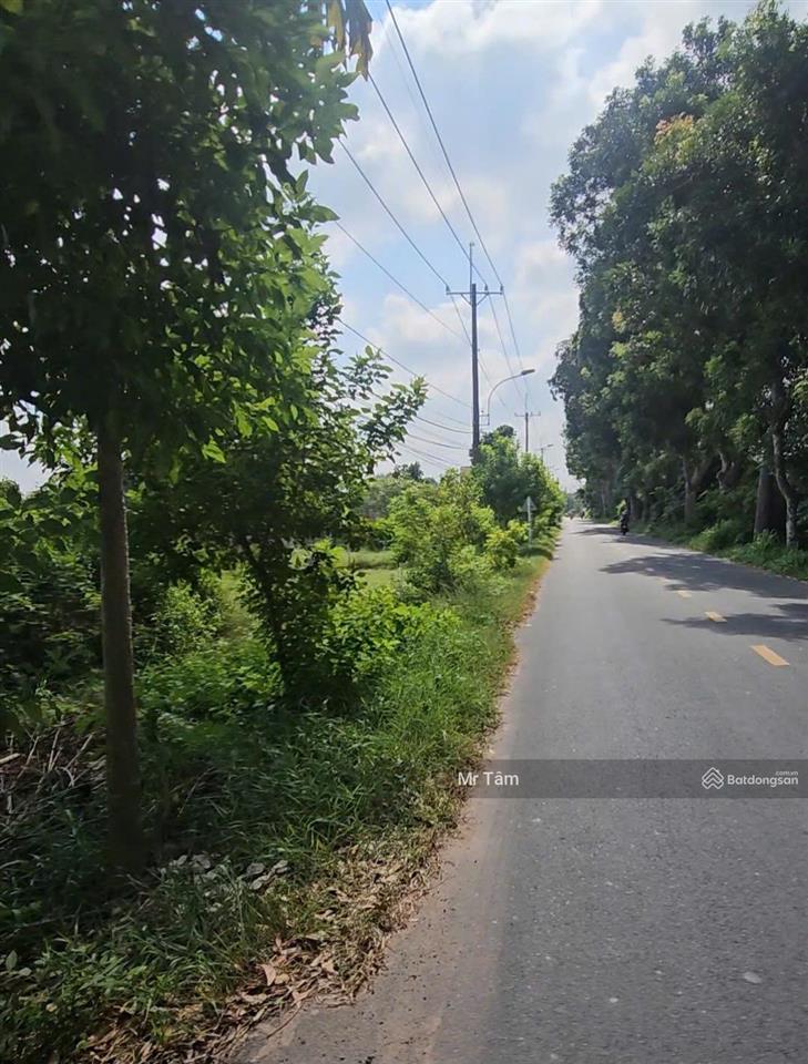 Đất củ chi! bán lô đất mt đường bùi thị điệt, dt 347m2, có 27,5m2 thổ, xã nhuận đức