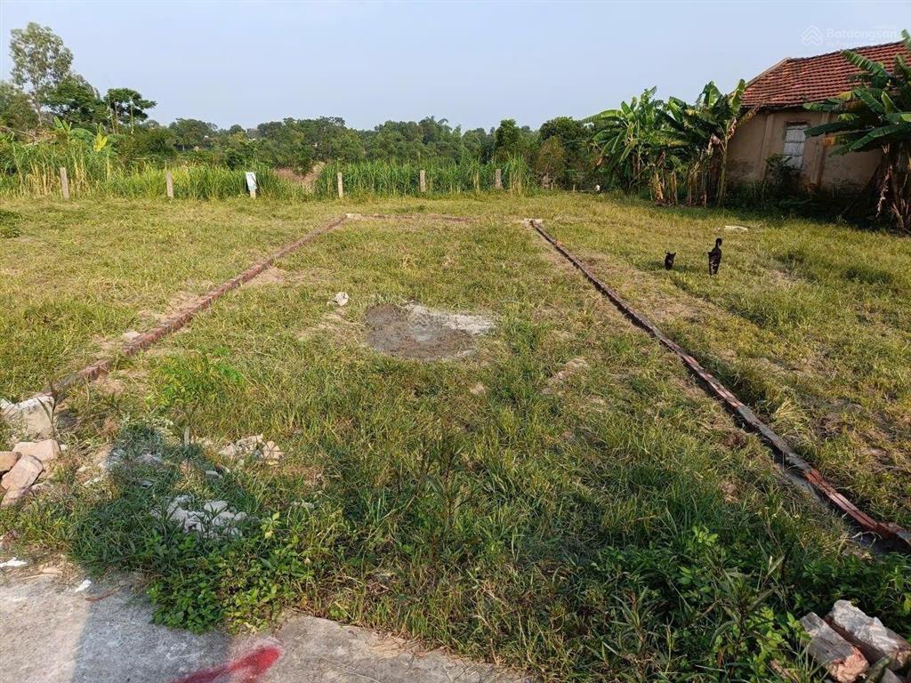 100m tại phổ yên, vị trí siêu đẹp, giá tốt chỉ hơn 800tr.