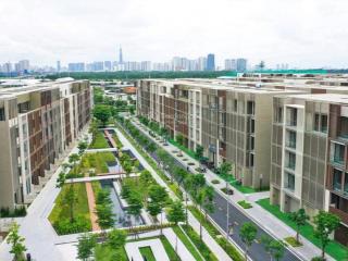 Cho thuê nhà phố soho  setup sẵn văn phòng, có thang máy, vào làm việc ngay  chỉ 30 triệu/tháng