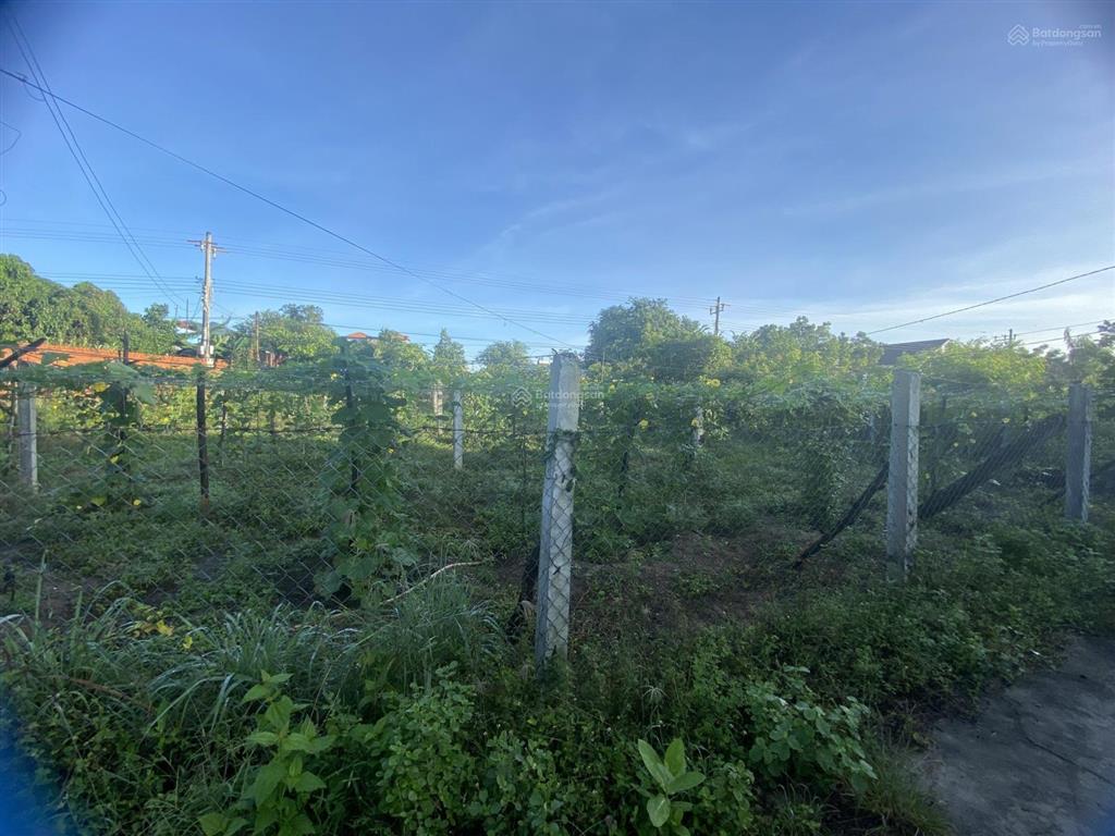 Chính chủ cần bán đất thổ cư 143m2 tại thôn 2, xã nhị hà, thuận nam, ninh thuận, chỉ 3.2tr/m2