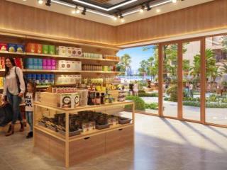 Shophouse khối đế peninsula đà nẵng  khai thác dòng tiền 250 triệu/tháng tại sao không?