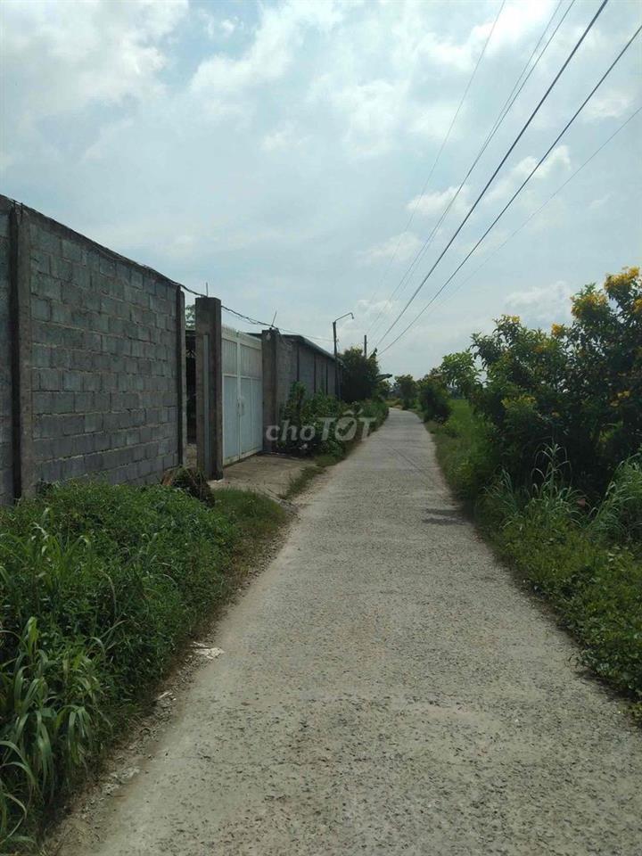 cho thuê trang trại gà đá , có sẵn trang thiết bị vào là vận hành