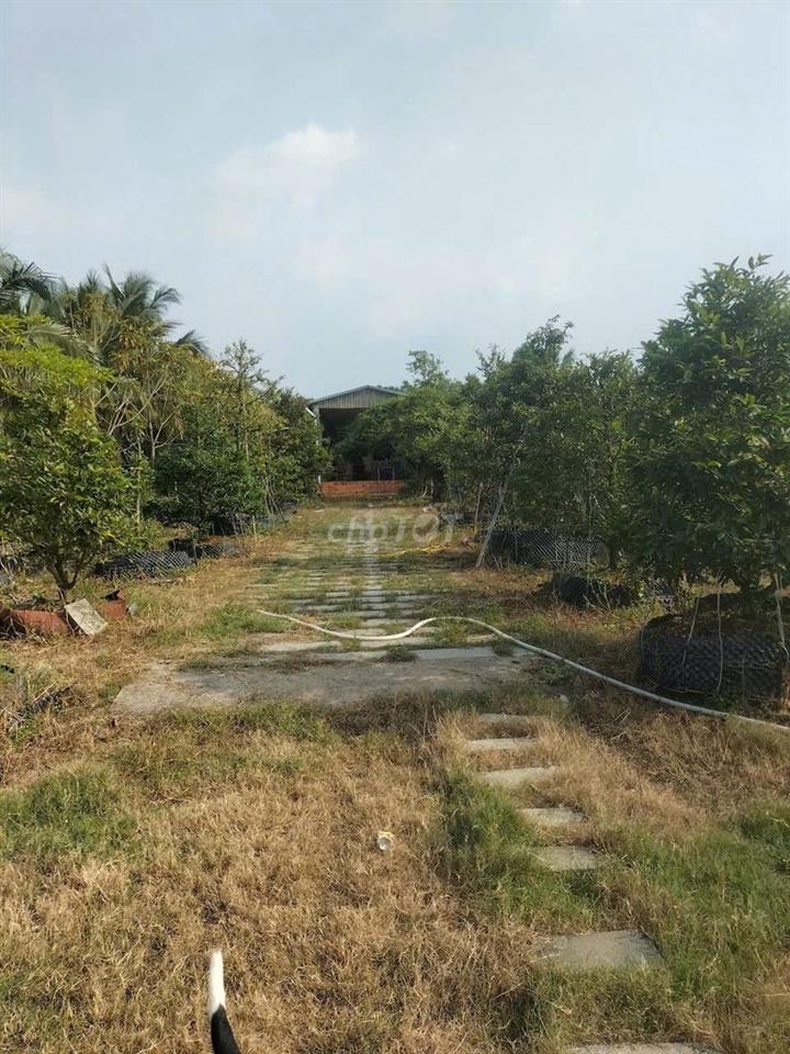 Bán đất 4685m2 có thổ cư Nhơn Trạch Đồng Nai