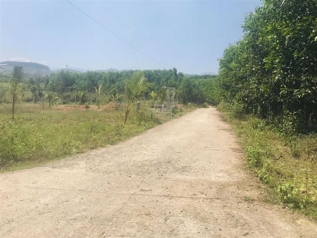 Bán lô đất khánh bình, phù hợp làm nhà vườn, phân lô 399tr