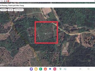 Bán đất tại đắc lộc, 2,5 tỷ, 8351 m2, khánh hòa