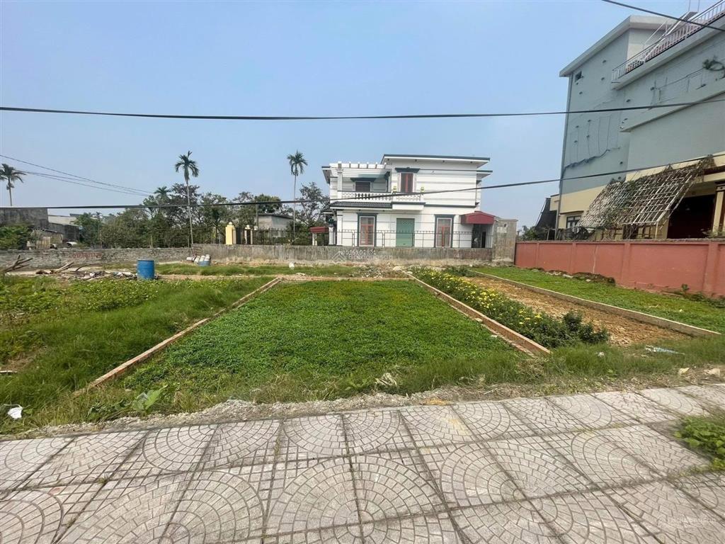 Hàng cực hiếm mặt trục kiến phong, đồng