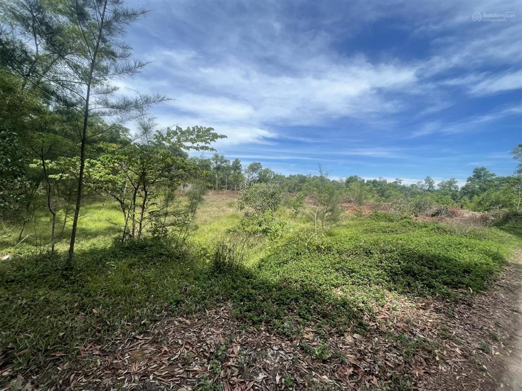 Bán đất vinh lộc, phú lộc, tp huế