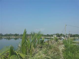 1000m đất Bình Hưng, Bình Chánh