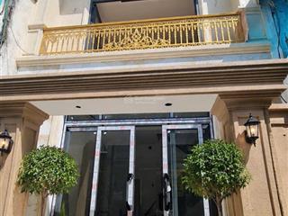 Bán nhà đẹp mới xây 4 tấm dt 5*8 hiếm có thiết kế tân cổ điển giáp q1 giá chỉ 6 tỉ 9 hẻm 3m gần q1