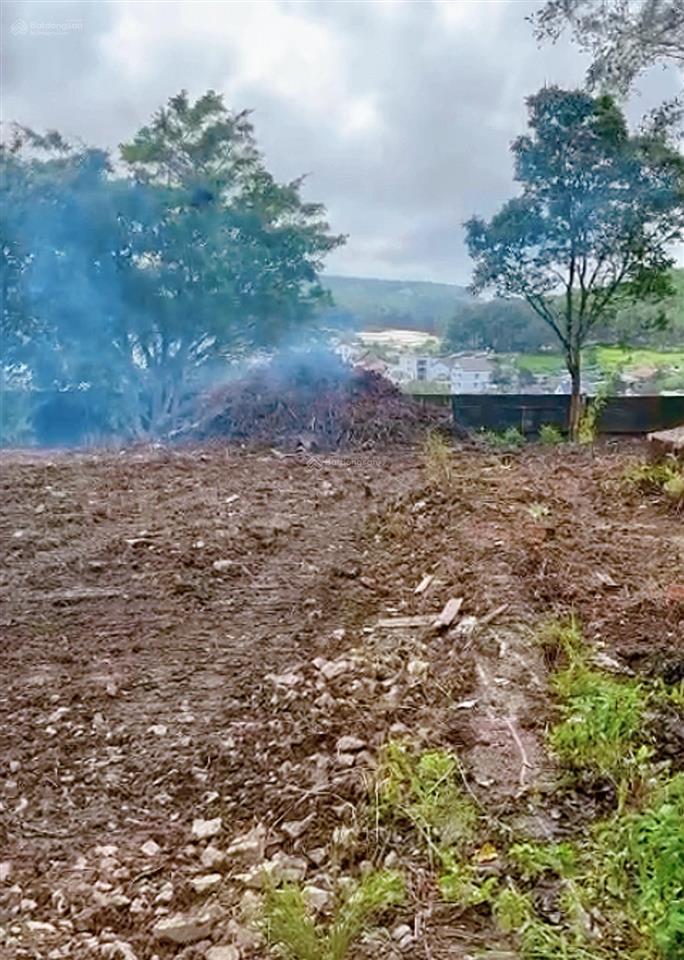 Bán đất tại nguyễn đình quân, 5 tại nguyễn đình quân, 55 tỷ, 3637.7m2, mặt tiền 10m, pháp lý đầy đủ