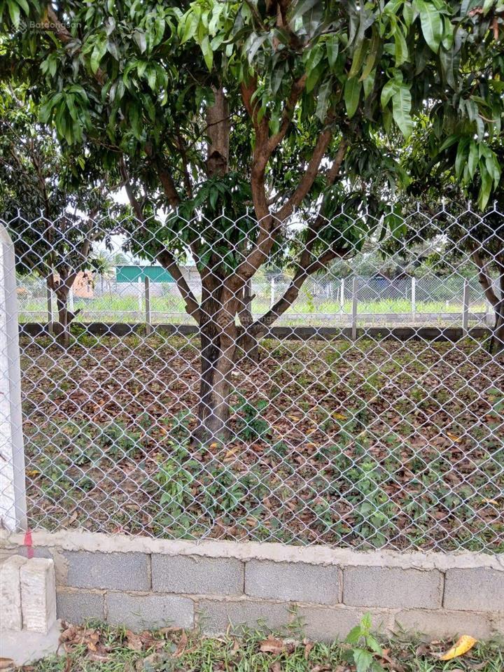 Chỉ 1 tỷ khu an toàn, trung tâm bàn cờ cam hiệp nam, nằm cạnh dự án vin