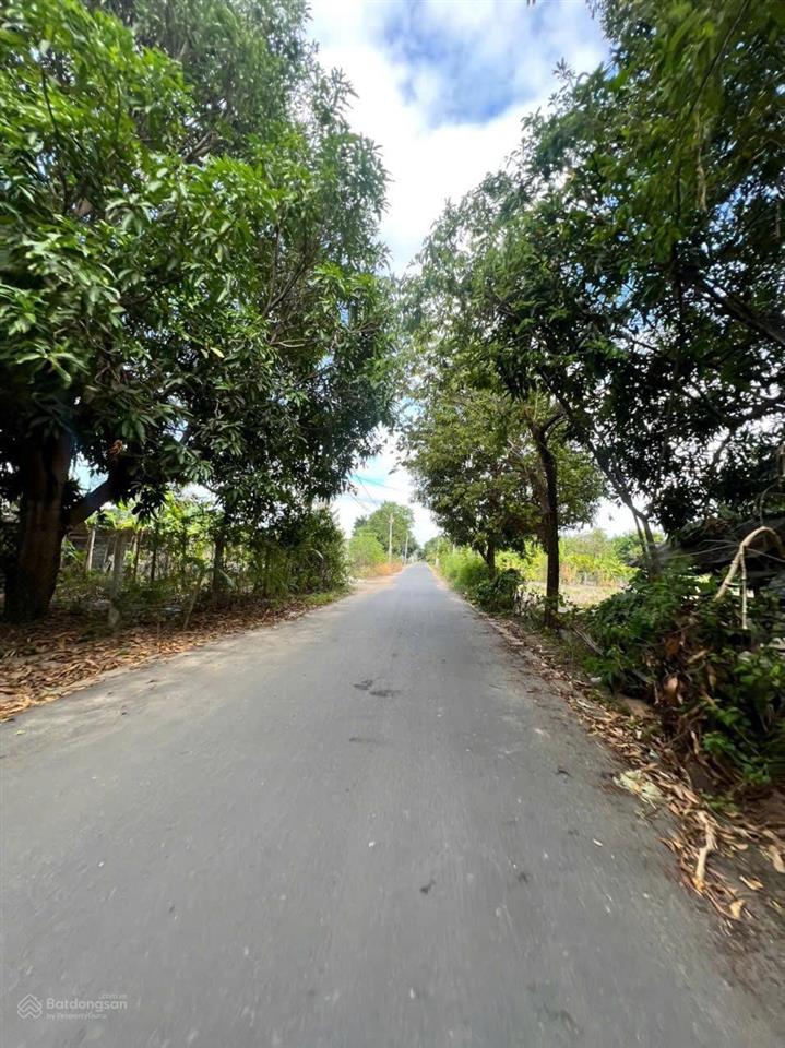 Bán đất trục chính bàn cờ cam an bắc, cam lâm, khánh hoà