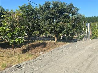 Bán 906m2 đất thổ cư full chỉ 2.3tr/m2, đường ô tô.  0912 267 ***