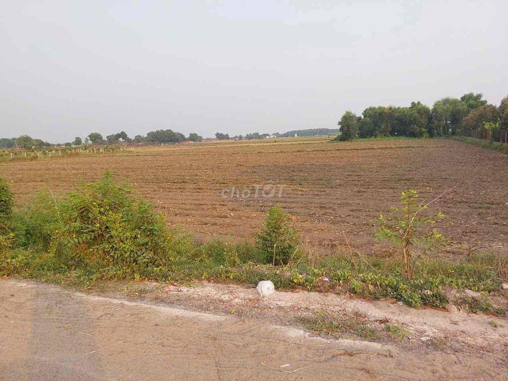 mặo tiền nhựa 30 m Qh