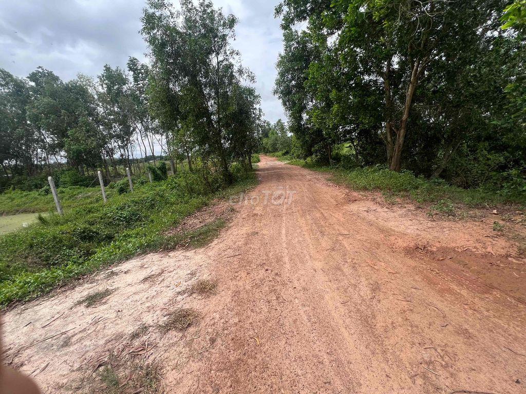 đất nn làm đa mục đích