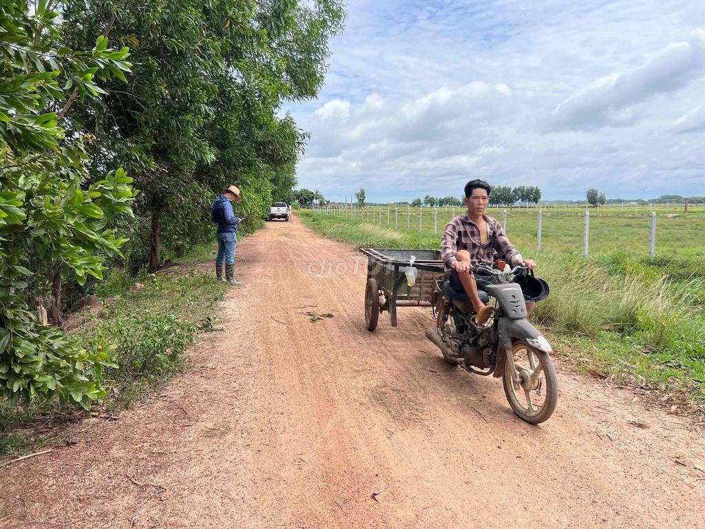 đất nn làm đa mục đích