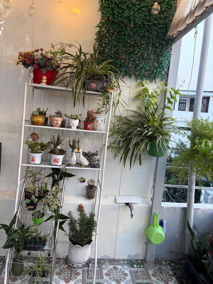 hẻm xe hơi giờ giấc tự do không chung chủ