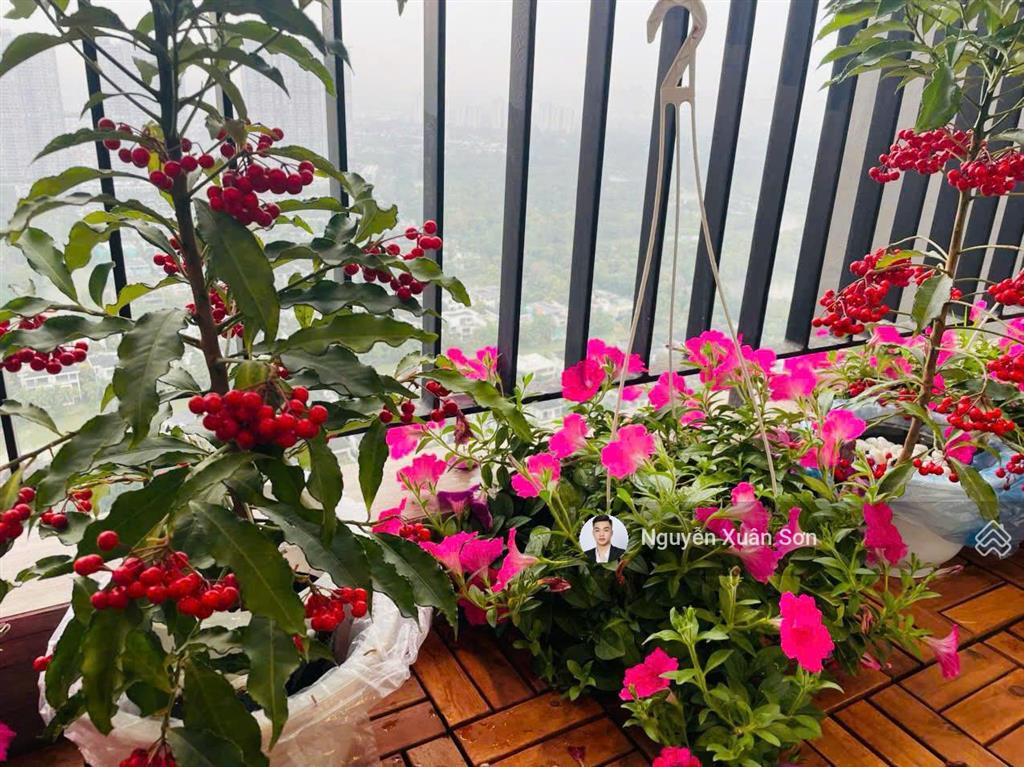 Cho thuê 2n2vs sky forest 63.4m2 tầng cao, full đồ xịn view biệt thự đảo giá 12tr