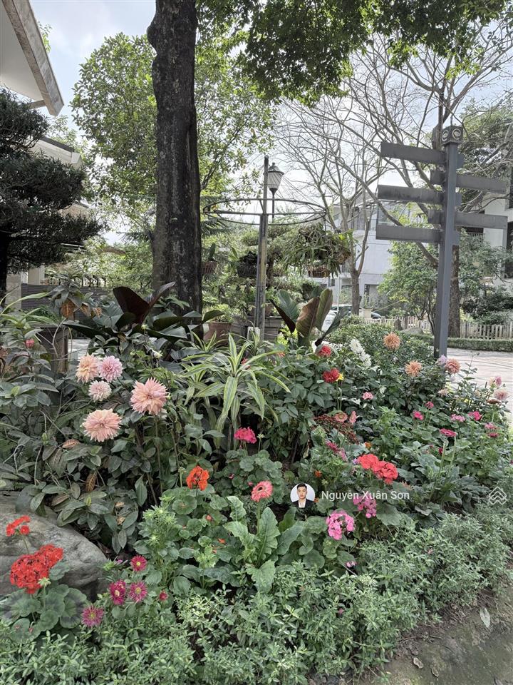 Cho thuê biệt thự song lập vườn tùng ecopark căn góc 165m2 full nội thất giá 35tr