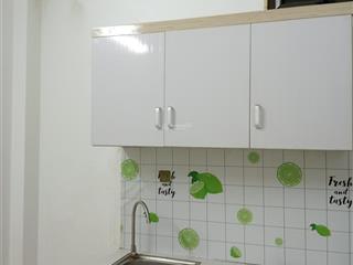 Cho thuê cc mini 1pn, 20m2 tại bắc lai xá, giá tốt 2,5 triệu vnd