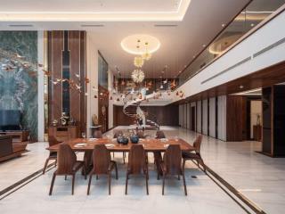 Bán căn penthouse & duplex 248m2, 5 phòng ngủ 5wc park view city. full nội thất đẹp, nhà đã có sổ