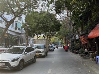 Hàng f0  phố giảng võ ba đình  vỉa hè 2 ô tô tránh nhau thông  dt130m2 mt 11m nhỉnh 60 tỷ