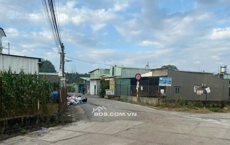 Cc cần bán 10.500m tại xã bình minh huyện trảng bom đồng nai, cách võ nguyên giáp 500m, 800m thổ cư