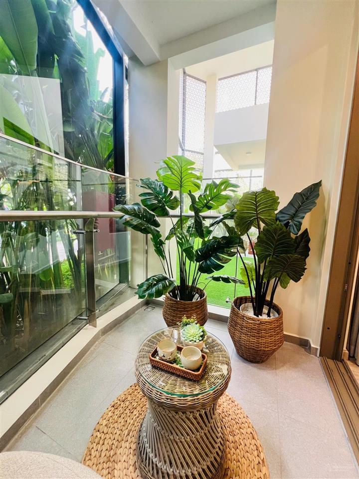 Chủ đầu tư bán căn hộ solaria rise 1pn+1 tại bến lức, nội thất cơ bản, 2027 nhận nhà