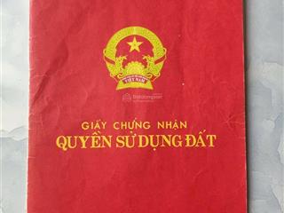 Đất mặt tiền 20 mét diện tích 202 m2 đất trồng cây lâu năm