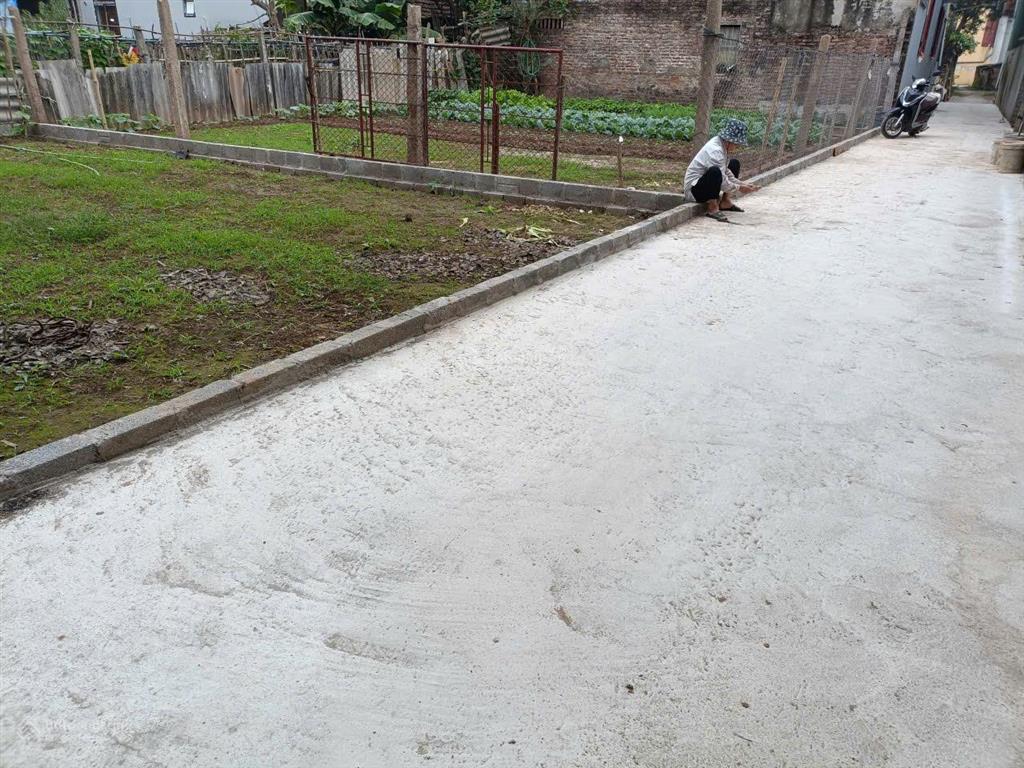 Cc cần bán ! lô 81,2m2  đội 9, xóm mới, hồng vân, hn  ngõ xe ô tô con ra, vào  cách tl427=80m