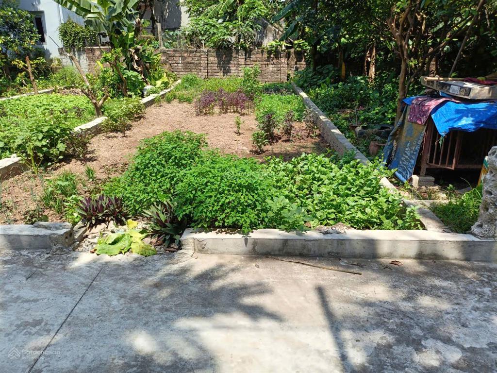 Lô đất rẻ đẹp tiềm năng cho khách nhanh chân dt 82m2 mt 5,4m tự nhiên chương dương ôtô 7 chỗ ra vào