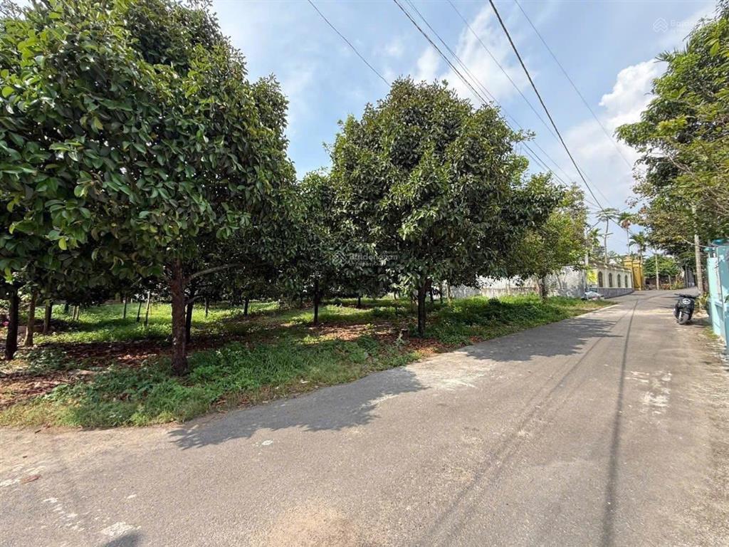 Bán lô đất có vườn cây ăn trái 1.300m2 an phước đồng nai, gần ql51 giá 6,3 tỷ tl