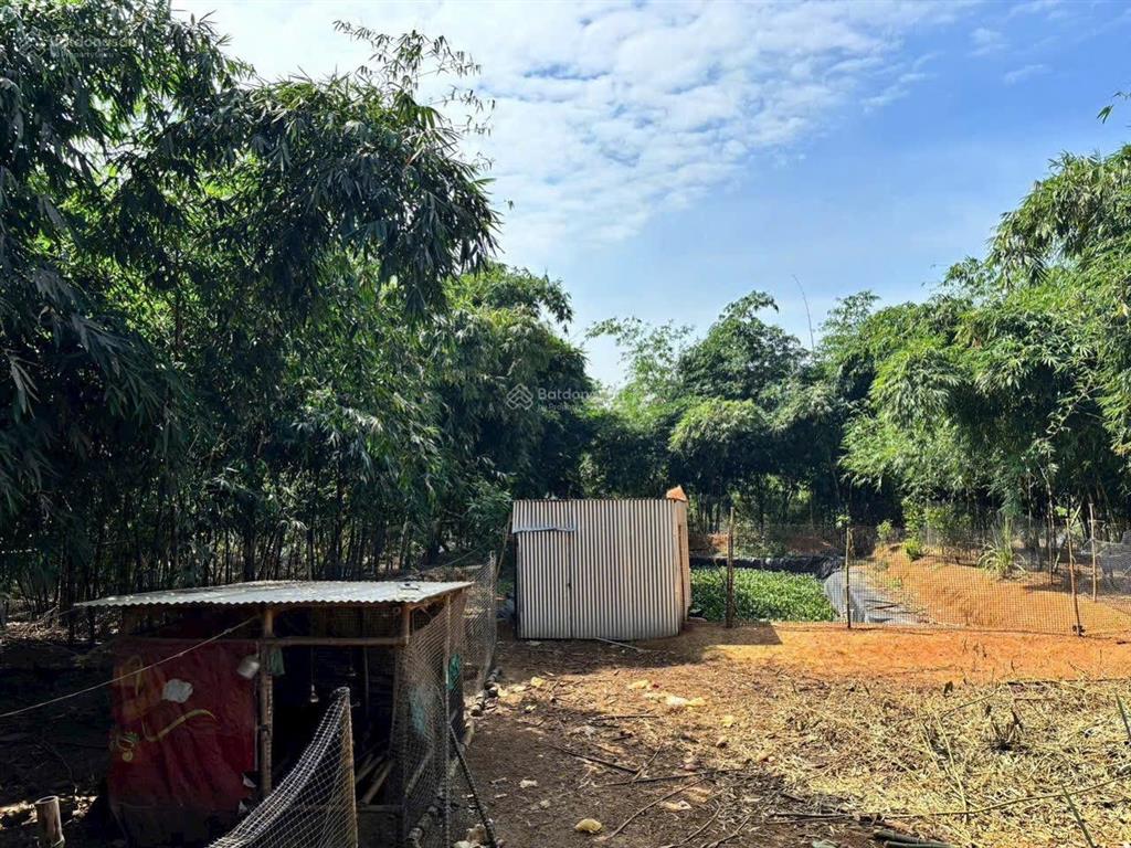 Đất bàu cạn, long thành 12.540m2, * thanh lý 10tỷ5, ngân hàng định giá 13tỷ5