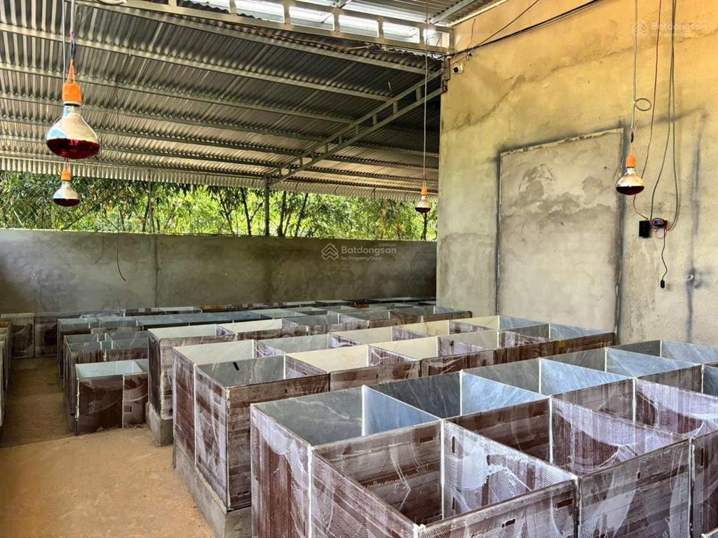 Đất bàu cạn, long thành 12.540m2, * thanh lý 10tỷ5, ngân hàng định giá 13tỷ5