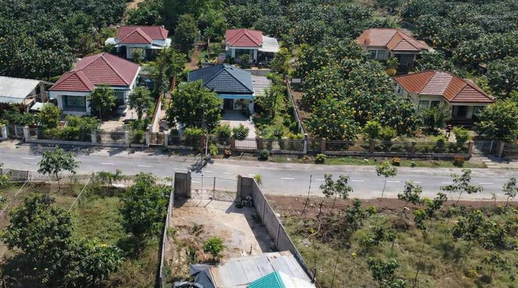Đất vườn bưởi có thổ cư ngay bàu bàng bình dương