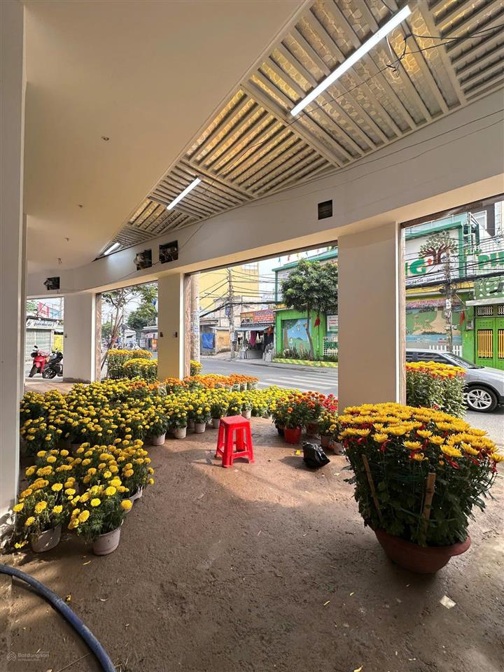 Bán nhà góc mtkd đường 14m mã lò (ngang 11m có 6 lầu, thang máy) giá tốt 18tỷ8 tl (dtsd tới 480m2)