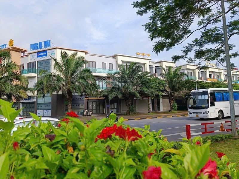 Shophouse mặt đường hữu nghị 56m, centa city bắc ninh