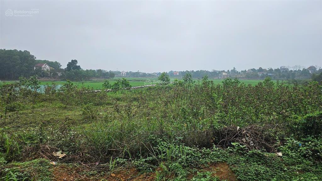 6 tỷ hơn / 1240 m2, mt 25m, đường 6 m, sổ đỏ, thôn phúc xuân, bắc sơn, sóc sơn, hn