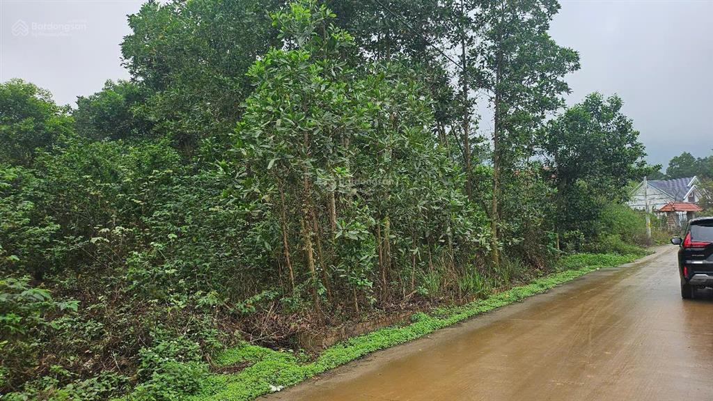 6 tỷ hơn / 1240 m2, mt 25m, đường 6 m, sổ đỏ, thôn phúc xuân, bắc sơn, sóc sơn, hn