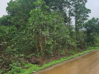 6 tỷ hơn / 1240 m2, mt 25m, đường 6 m, sổ đỏ, thôn phúc xuân, bắc sơn, sóc sơn, hn