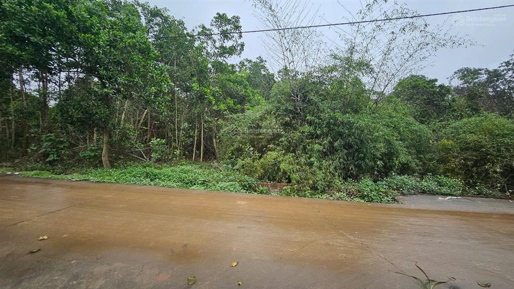 6 tỷ hơn / 1240 m2, mt 25m, đường 6 m, sổ đỏ, thôn phúc xuân, bắc sơn, sóc sơn, hn