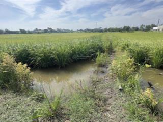 Xã tân hiệp (cũ)  hóc môn hcm