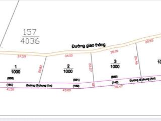 Chủ gửi 4000m2 đất full hồng đường oto tới đất