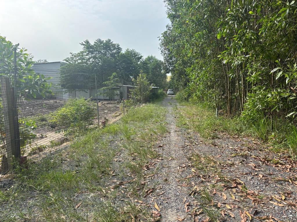 Chủ gửi bán lô đất 241m2 có 150m2 thổ cư, 1/ hùng vương, xã phước an