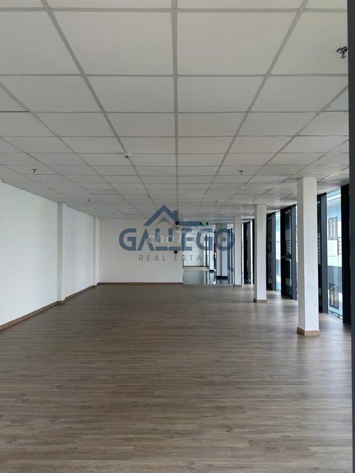 🏢 CHO THUÊ NHÀ MẶT TIỀN NGÔ THỊ THU MINH * 7X24M * HẦM TRỆT 4 LẦU💯