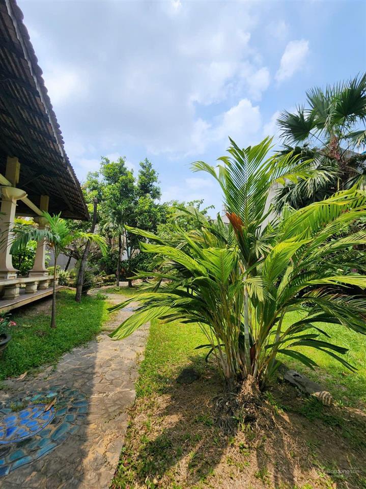 Biệt thự cổ, p. hiệp bình chánh, q. thủ đức