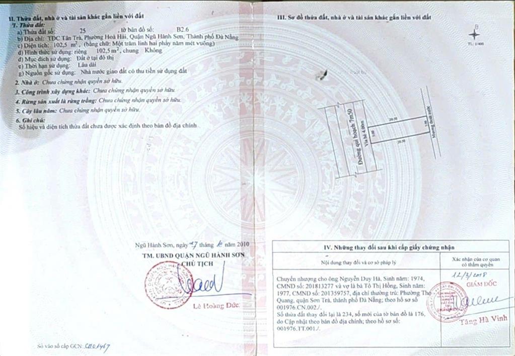 Đất biển tân trà đường kim đồng