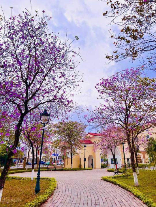 Bảng hàng vista nam an khánh, giá tốt nhất phía tây gần vin thăng long, bắc an khánh, cần bán nhanh